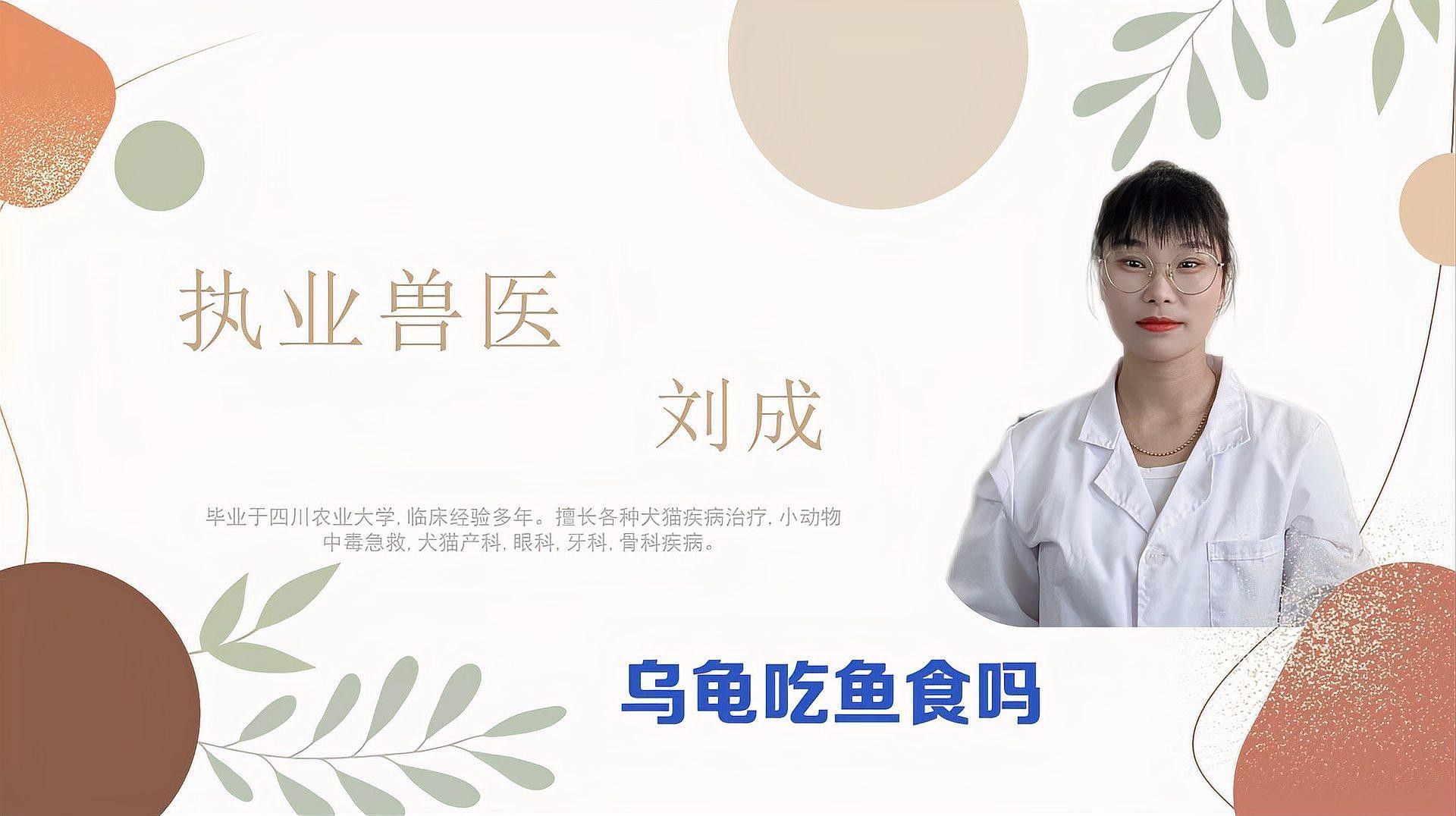 如何安全地給龜喂食金龍魚飼料（如何安全地給烏龜喂食金龍魚飼料）