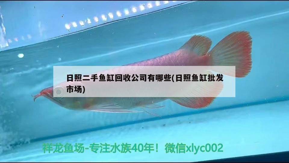 日照二手魚缸回收公司有哪些(日照魚缸批發(fā)市場)（二手魚缸回收公司有哪些）
