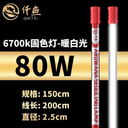 紅龍魚白燈的功率選擇