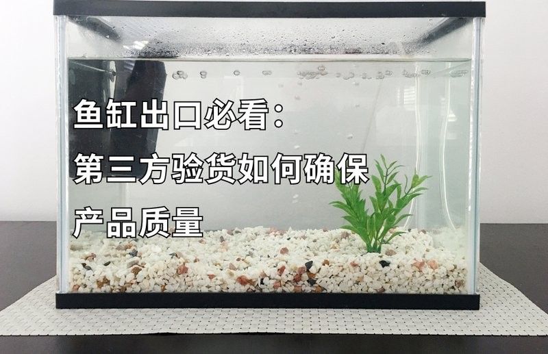 西龍魚缸管件密封性檢查頻率（關(guān)于西龍魚缸管件密封性檢查的建議） 西龍魚缸管件密封性檢查頻率（關(guān)于西龍魚缸管件密封性檢查的建議） 龍魚百科 第4張