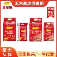 金龍魚五常原香稻有哪些品種？（金龍魚五常原香稻）