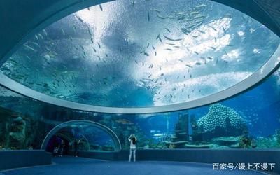 廣州最大的水族館是哪個（廣州最大的水族館是哪里？）
