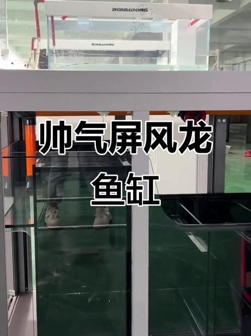 博世龍魚缸的價格范圍（博世龍魚缸價格、批發(fā)報價、價格大全） 博世龍魚缸的價格范圍（博世龍魚缸價格、批發(fā)報價、價格大全） 龍魚百科 第2張