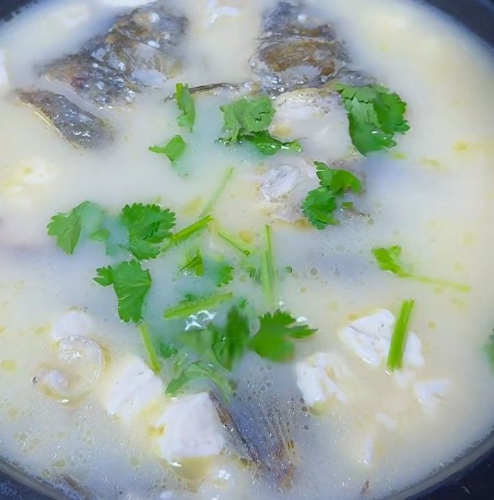 金龍魚湯的具體做法（金龍魚湯怎么做好喝？）