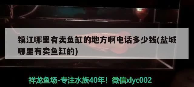 鎮江哪里有賣魚缸的地方啊電話多少錢(鹽城哪里有賣魚缸的)