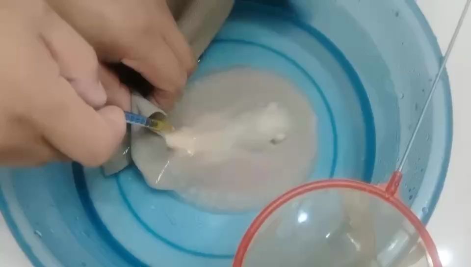 打一針（打一針是什么意思）