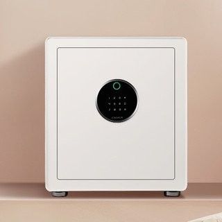 如何判斷保險(xiǎn)箱探索是否成功（保險(xiǎn)箱探索的成功與否取決于多種因素） 如何判斷保險(xiǎn)箱探索是否成功（保險(xiǎn)箱探索的成功與否取決于多種因素） 龍魚(yú)百科 第4張