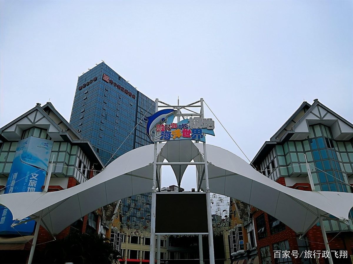 南寧市還有哪些與龍魚相關的場所（南寧市的龍魚文化）