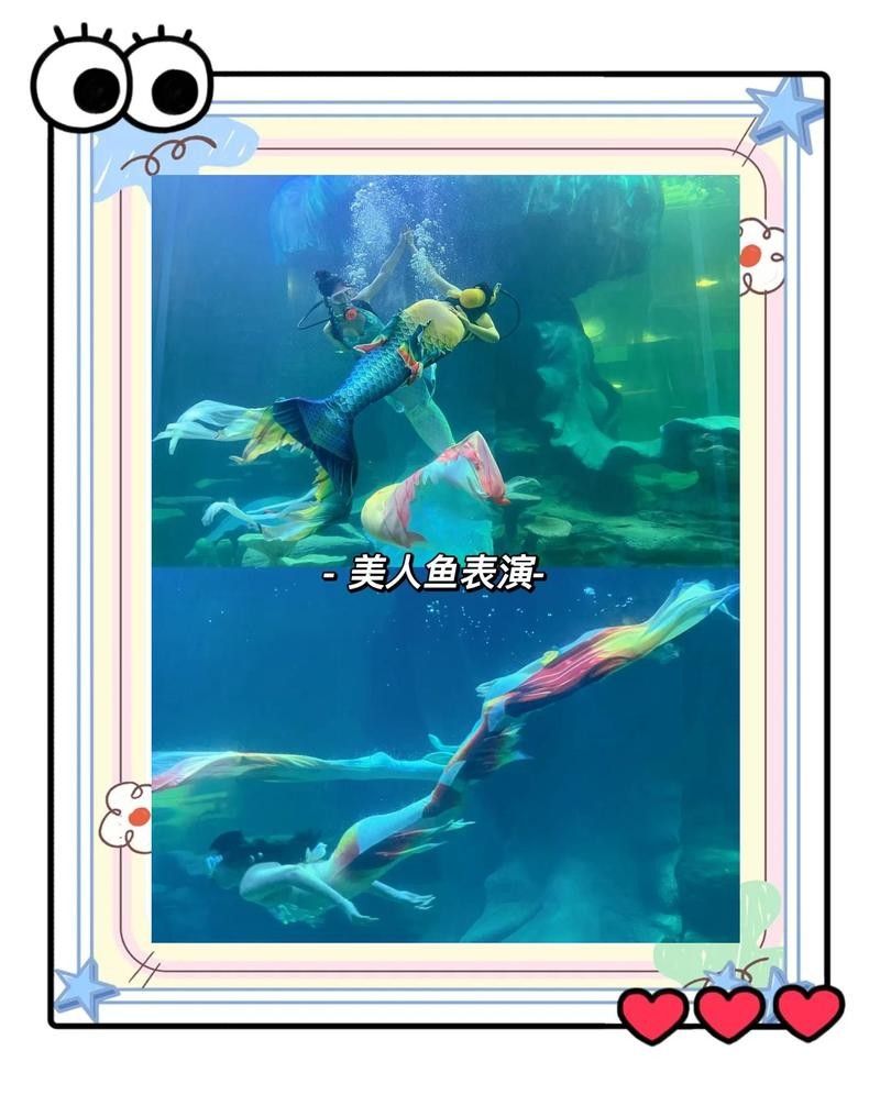 南寧市還有哪些與龍魚相關的場所（南寧市的龍魚文化）