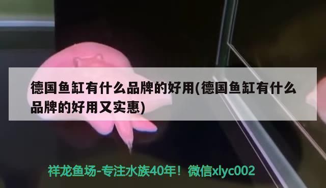 德國魚缸有什么品牌的好用(德國魚缸有什么品牌的好用又實惠)（德國魚缸有什么品牌的好用）