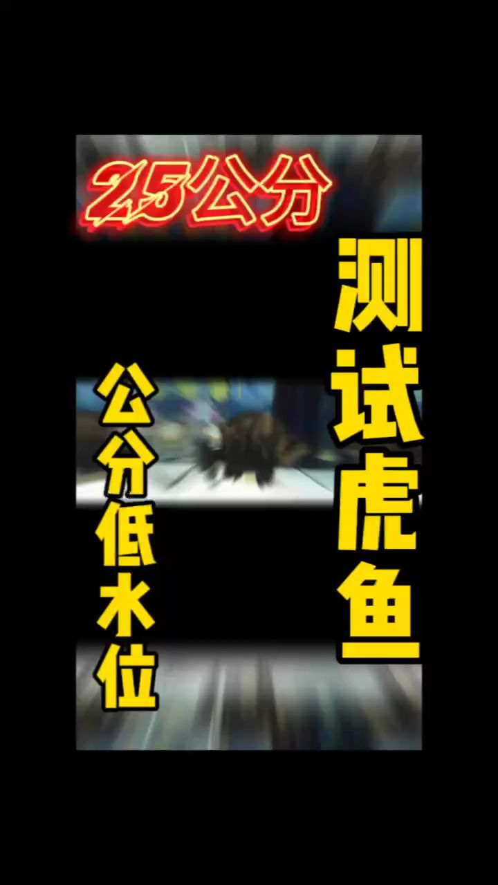 虎魚明不明看這里（虎魚不具備發(fā)光能力，但它們不具備發(fā)光能力）