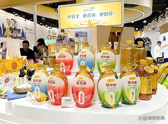 金龍魚如何重塑消費者信任（金龍魚如何通過透明化生產重塑消費者信任？） 金龍魚如何重塑消費者信任（金龍魚如何通過透明化生產重塑消費者信任？） 龍魚百科 第3張