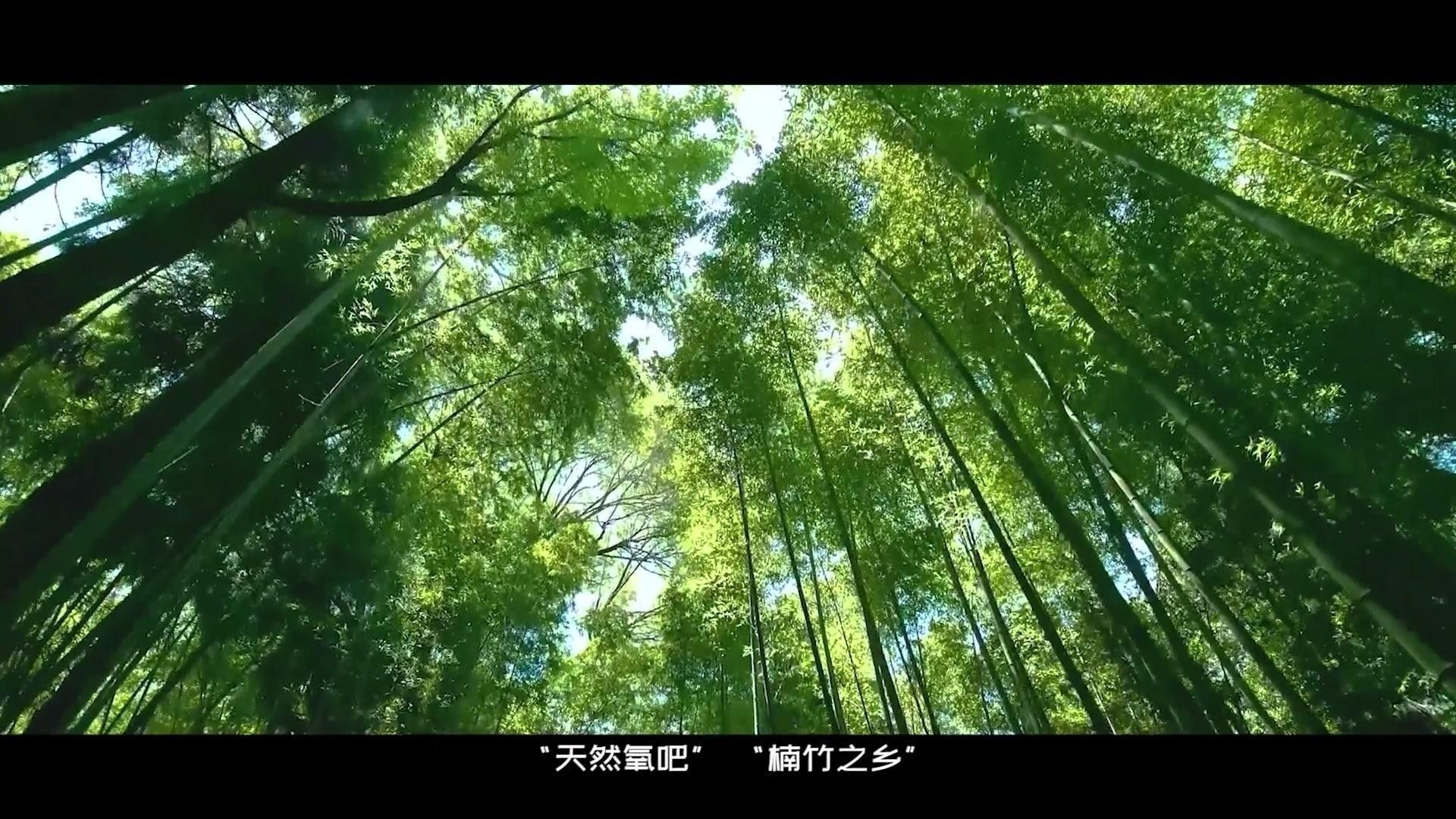 資源輔助中哪些途徑最有效？（資源輔助中最有效的途徑可通過以下方式實現）