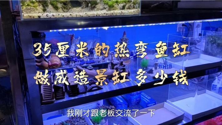 龍魚圖片頭像（龍魚圖片頭像）（龍魚圖片頭像分享-收藏最美龍魚圖片）