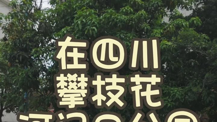攀枝花有哪些冷水魚商家（四川攀枝花地區的冷水魚商家及產業信息綜合自企業注冊新聞報道）