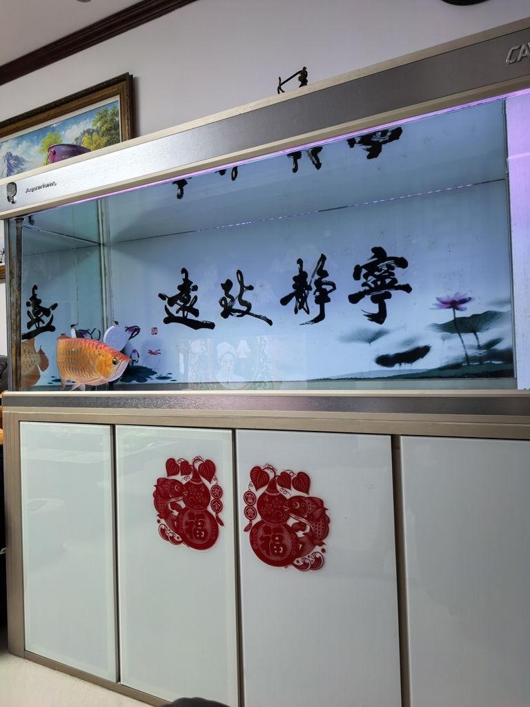 再加，mylove（“再加，mylove”內涵與影響深入探討“再加）