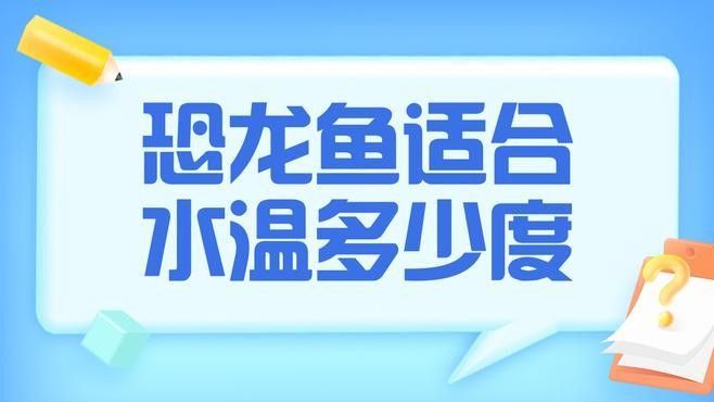 如何預防恐龍魚生病？（恐龍魚的養(yǎng)殖方法） 如何預防恐龍魚生?。浚铸堲~的養(yǎng)殖方法） 龍魚百科 第1張