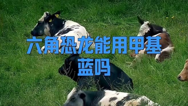 如何預防恐龍魚生病？（恐龍魚的養(yǎng)殖方法） 如何預防恐龍魚生??？（恐龍魚的養(yǎng)殖方法） 龍魚百科 第4張