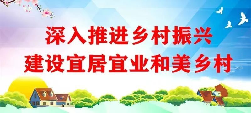 紅龍茶葉有哪些創新產品（紅龍茶葉的創新產品中哪款最受歡迎？） 紅龍茶葉有哪些創新產品（紅龍茶葉的創新產品中哪款最受歡迎？） 龍魚百科 第7張
