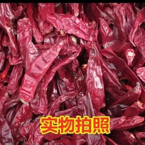 辣椒紅龍的市場價格是多少？（9月30日庫爾勒干辣椒價格行情） 辣椒紅龍的市場價格是多少？（9月30日庫爾勒干辣椒價格行情） 龍魚百科 第1張
