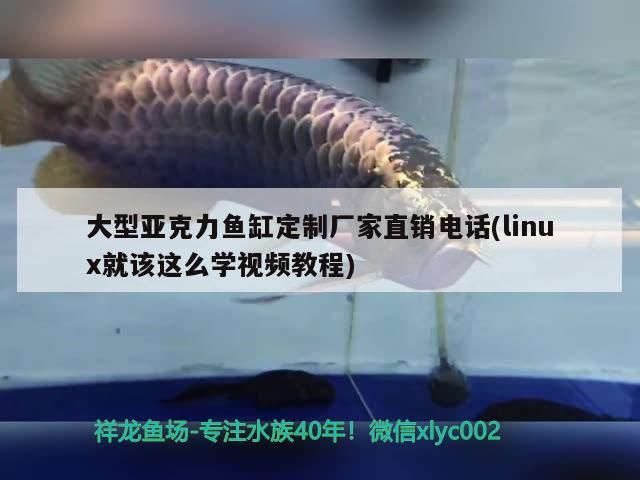 大型亞克力魚缸定制廠家直銷電話(linux就該這么學視頻教程)（北京宏立隆發亞克力有機玻璃制品）