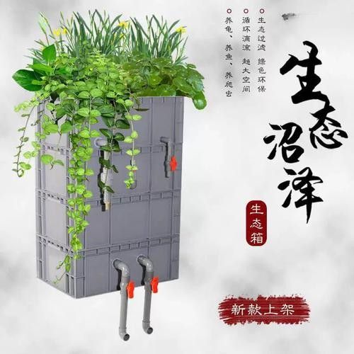 龍魚閣水族箱的價格范圍（龍魚閣水族箱價格） 龍魚閣水族箱的價格范圍（龍魚閣水族箱價格） 龍魚百科 第2張