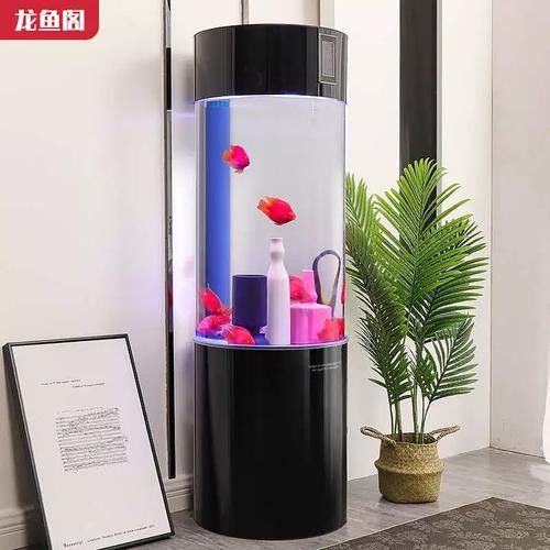龍魚閣水族箱的價格范圍（龍魚閣水族箱價格） 龍魚閣水族箱的價格范圍（龍魚閣水族箱價格） 龍魚百科 第1張