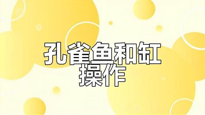 檢疫完成后多久可以合缸（玄寵宿舍,新魚入缸全攻略）