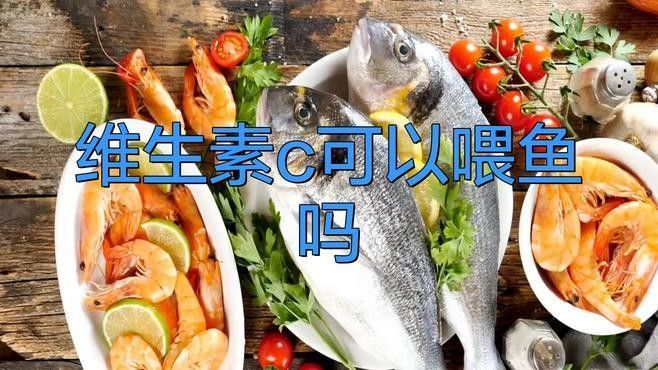 如何給紅龍魚添加維生素（給紅龍魚添加維生素的一些建議） 如何給紅龍魚添加維生素（給紅龍魚添加維生素的一些建議） 龍魚百科 第2張