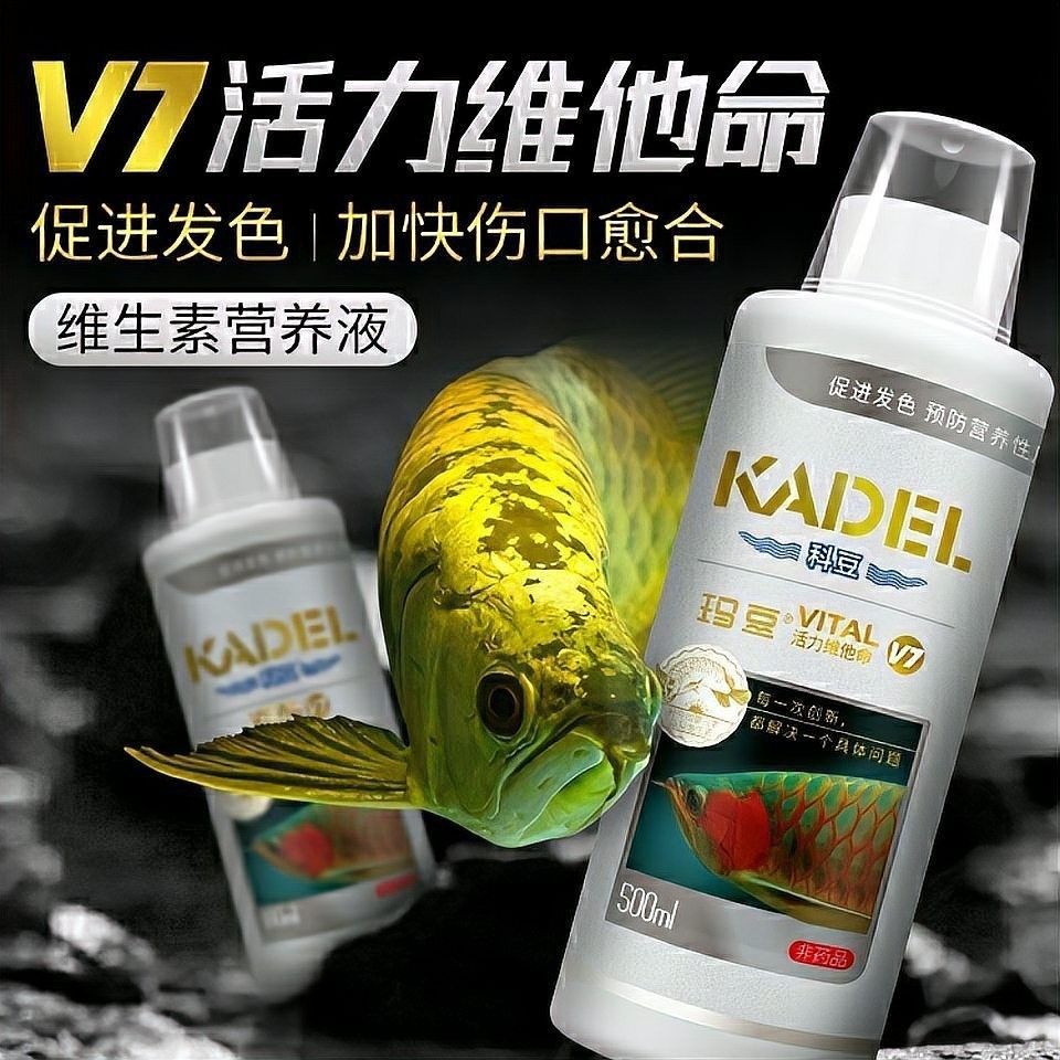 如何給紅龍魚添加維生素（給紅龍魚添加維生素的一些建議） 如何給紅龍魚添加維生素（給紅龍魚添加維生素的一些建議） 龍魚百科 第4張