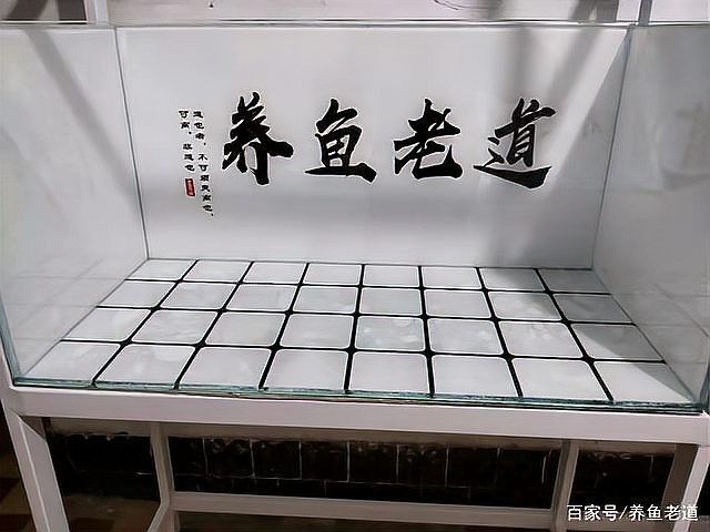 龍魚魚缸背景布多久換一次（觀賞魚世界） 龍魚魚缸背景布多久換一次（觀賞魚世界） 龍魚百科 第8張