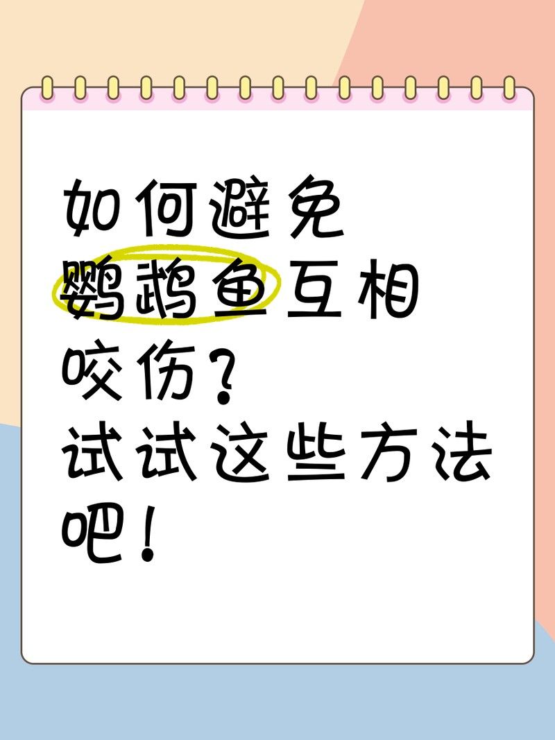 如何減少飛鳳魚被咬的可能性（水墨漫畫少女喵醬飛鳳魚的飼養(yǎng)技巧和注意事項）