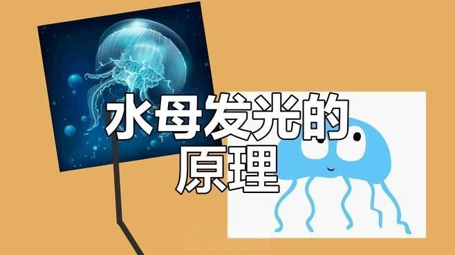 如何判斷深海龍魚發光器是否完全恢復（判斷深海龍魚發光器是否完全恢復的方法深海龍魚發光器已恢復）