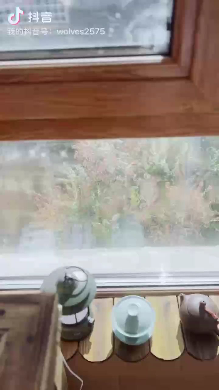 過節沒及時發（過節沒及時發送禮物或賀卡）