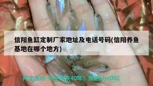 魚(yú)缸用增氧泵價(jià)格是多少:魚(yú)缸增氧機(jī)-xtrac增氧機(jī)-xtrac增氧機(jī) 信陽(yáng)魚(yú)缸定制廠家地址及電話號(hào)碼(信陽(yáng)養(yǎng)魚(yú)基地在哪個(gè)地方)(信陽(yáng)魚(yú)缸定制廠家地址) 觀賞魚(yú)百科 信陽(yáng)魚(yú)缸定制廠家地址及電話號(hào)碼(信陽(yáng)養(yǎng)魚(yú)基地在哪個(gè)地方)(信陽(yáng)魚(yú)缸定制廠家地址) 信陽(yáng)魚(yú)缸定制廠家地址及電話號(hào)碼(信陽(yáng)養(yǎng)魚(yú)基地在哪個(gè)地方)(信陽(yáng)魚(yú)缸定制廠家地址) 觀賞魚(yú)百科