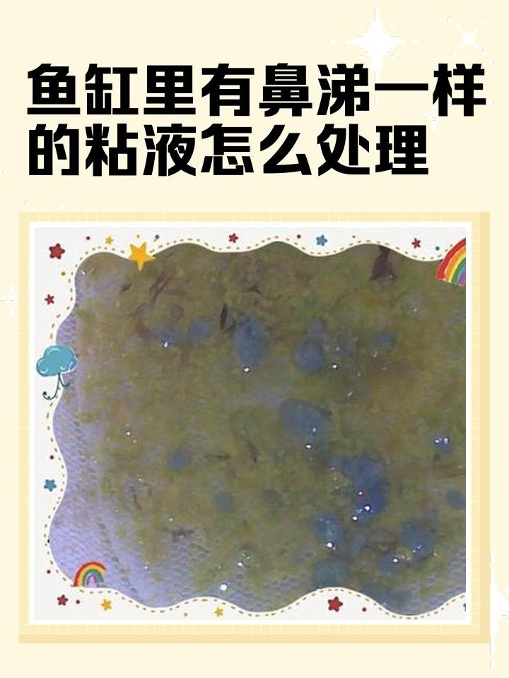 如何預防龍魚粘液過多？（如何預防龍魚粘液過多）