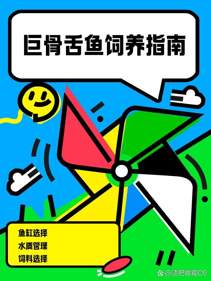 非洲骨舌魚幼魚吃什么食物？（非洲骨舌魚幼魚的喂養建議）