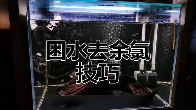 如何除自來水中的余氯（如何去除自來水中余氯）