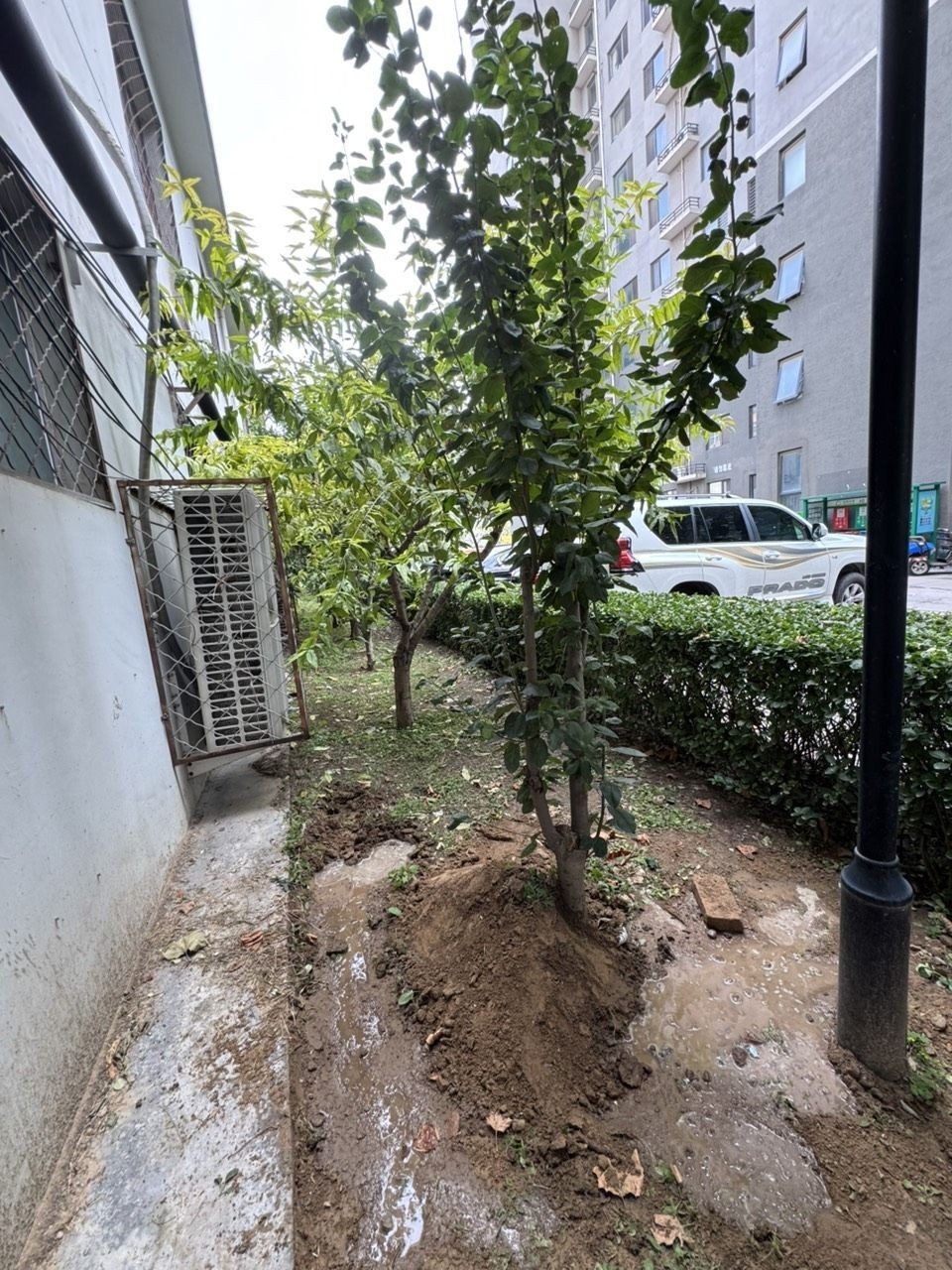 回歸自然，祝你一切安好。（回歸自然，愿你一切安好） 回歸自然，祝你一切安好。（回歸自然，愿你一切安好） 龍魚論壇 第5張