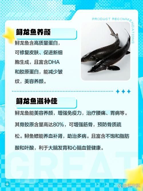 鱘龍魚的不同品種圖片(鱘魚的不同品種圖片) 龍魚百科 第32張 鱘龍魚的不同品種圖片(鱘魚的不同品種圖片) 鱘龍魚的不同品種圖片(鱘魚的不同品種圖片) 龍魚百科 第32張