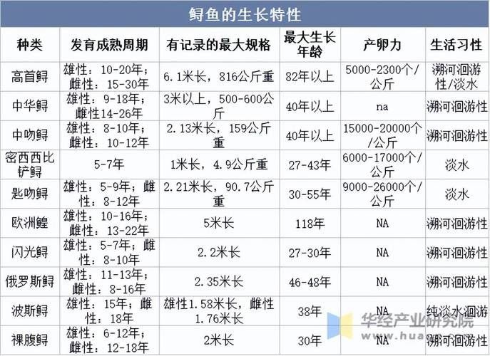 鱘龍魚的不同品種圖片(鱘魚的不同品種圖片) 龍魚百科 第34張 鱘龍魚的不同品種圖片(鱘魚的不同品種圖片) 鱘龍魚的不同品種圖片(鱘魚的不同品種圖片) 龍魚百科 第34張