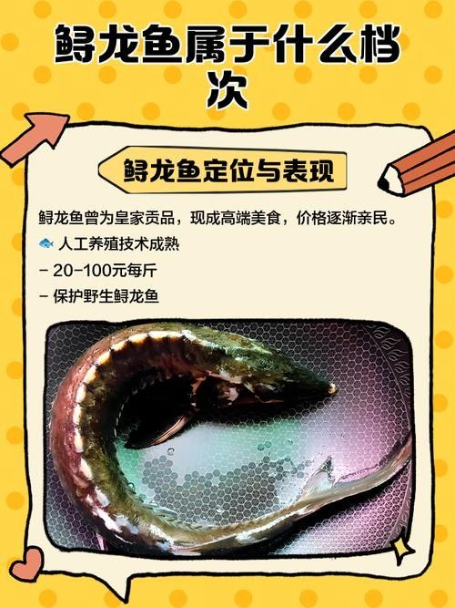 鱘龍魚的不同品種圖片(鱘魚的不同品種圖片) 龍魚百科 第33張 鱘龍魚的不同品種圖片(鱘魚的不同品種圖片) 鱘龍魚的不同品種圖片(鱘魚的不同品種圖片) 龍魚百科 第33張
