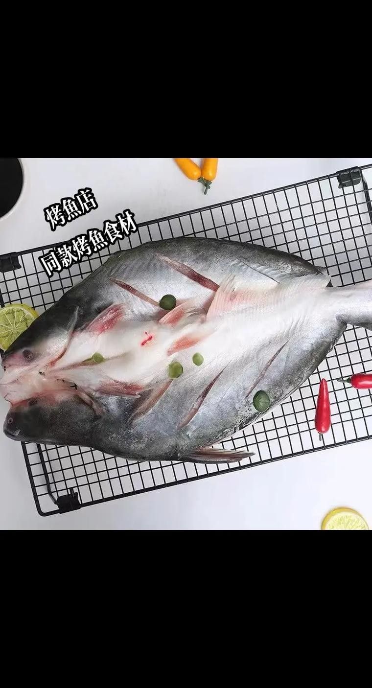龍利魚和巴沙魚哪個更適合減肥（利魚和巴沙魚哪個更適合減肥人群選擇？）