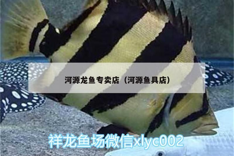 河源龍魚專賣店（河源魚具店）（廣州河源龍魚專賣店，河源龍魚專賣店可以當(dāng)面看魚）