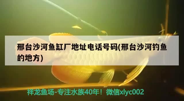飼料 邢臺沙河魚缸廠地址電話號碼(邢臺沙河釣魚的地方)(河北省邢臺沙河魚缸廠地址電話號碼、地址電話號碼分享) 觀賞魚百科 邢臺沙河魚缸廠地址電話號碼(邢臺沙河釣魚的地方)(河北省邢臺沙河魚缸廠地址電話號碼、地址電話號碼分享) 邢臺沙河魚缸廠地址電話號碼(邢臺沙河釣魚的地方)(河北省邢臺沙河魚缸廠地址電話號碼、地址電話號碼分享) 觀賞魚百科