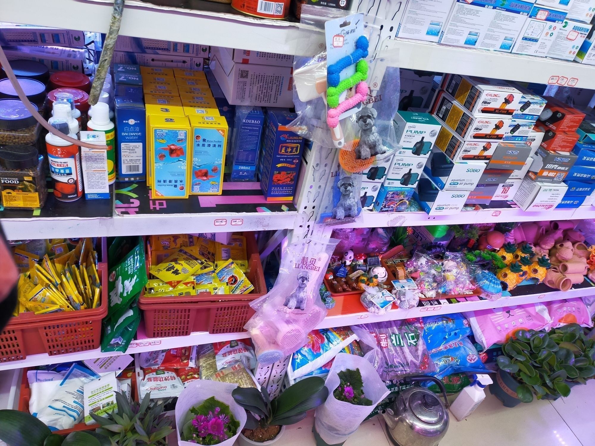 橋西市場有沒有水族店（河北石家莊市橋西區多家水族店購物商鋪信息）