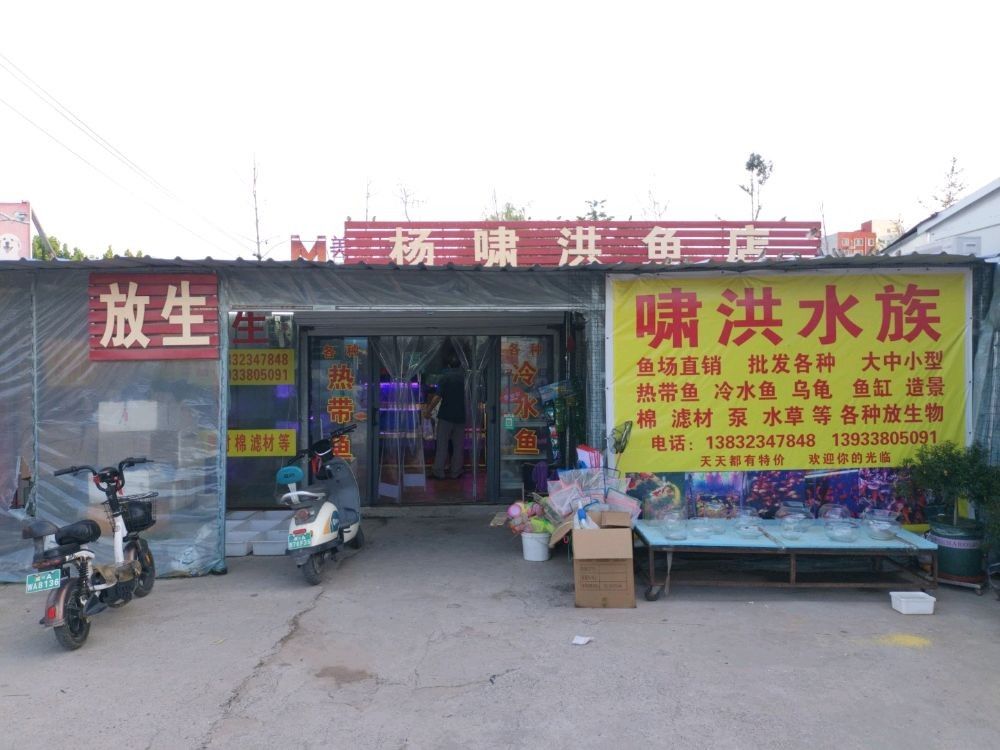 橋西市場有沒有水族店（河北石家莊市橋西區多家水族店購物商鋪信息）