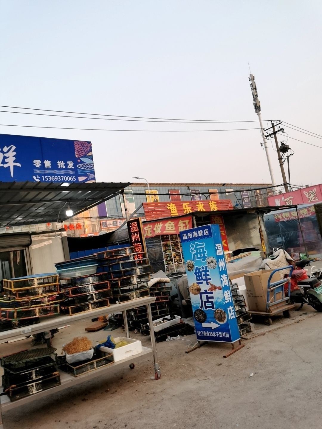 橋西市場有沒有水族店（河北石家莊市橋西區多家水族店購物商鋪信息）