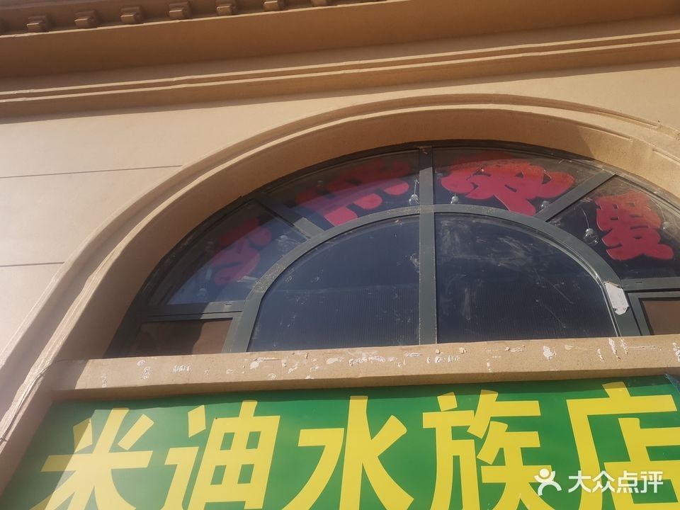 橋西市場有沒有水族店（河北石家莊市橋西區多家水族店購物商鋪信息）