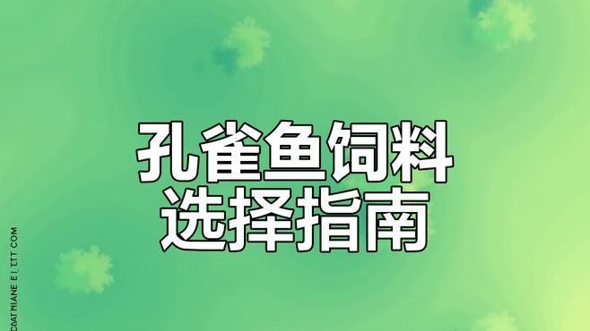 哪種飼料性價比最高（不同種類飼料的性價比分析及推薦）